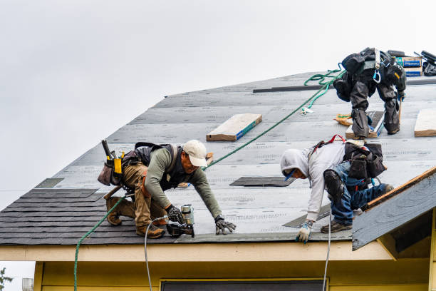 Professional Roofing technician working in Kingsville, MO